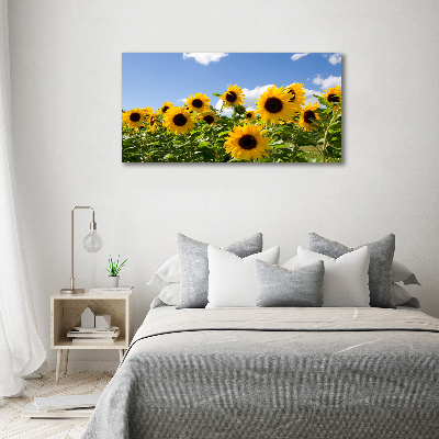 Tableau toile imprimée Tournesols