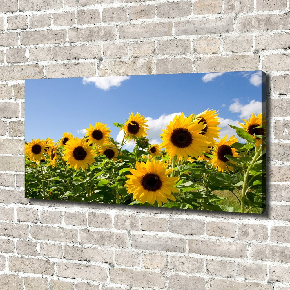 Tableau toile imprimée Tournesols