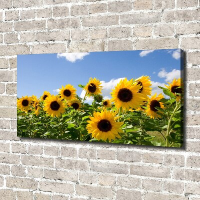 Tableau toile imprimée Tournesols