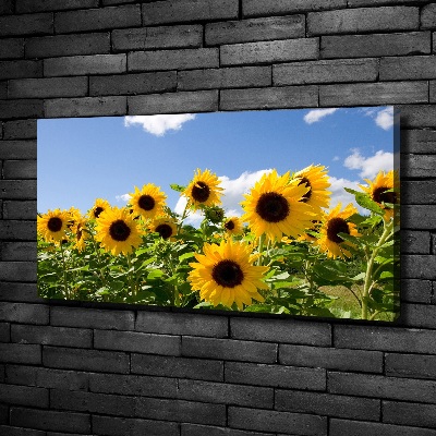 Tableau toile imprimée Tournesols