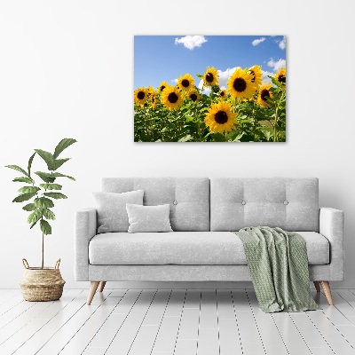 Tableau toile imprimée Tournesols