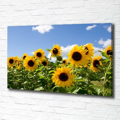 Tableau toile imprimée Tournesols