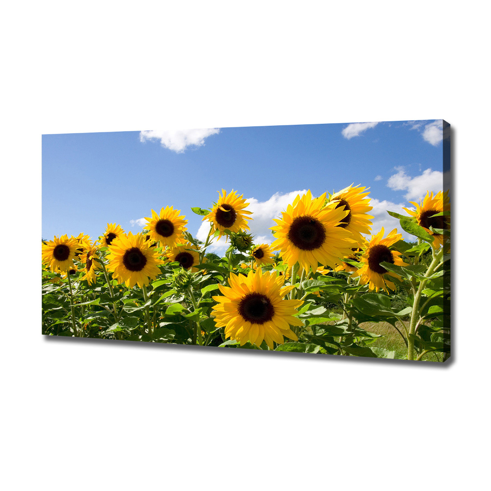 Tableau toile imprimée Tournesols