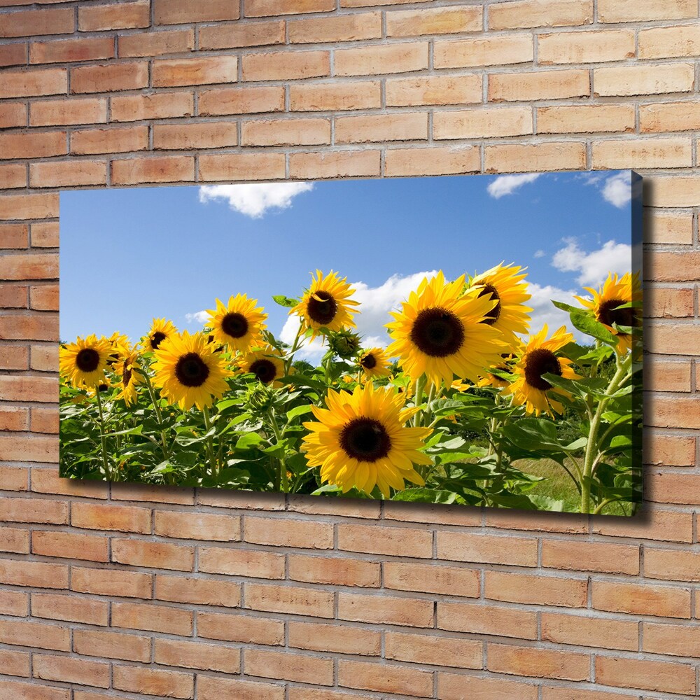 Tableau toile imprimée Tournesols