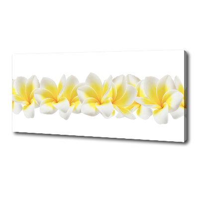 Tableau imprimé sur toile Plumeria