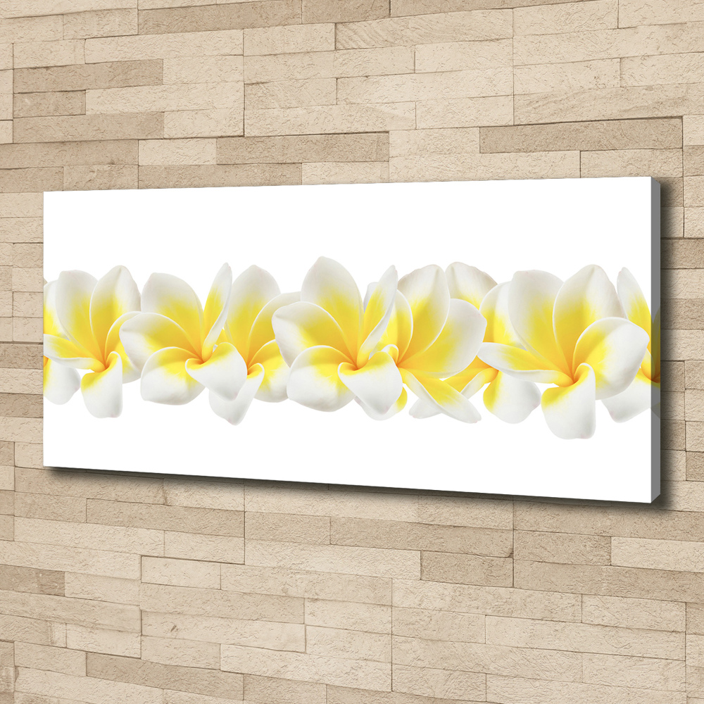 Tableau imprimé sur toile Plumeria