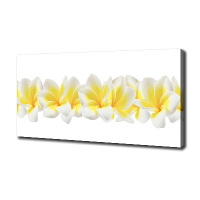 Tableau imprimé sur toile Plumeria