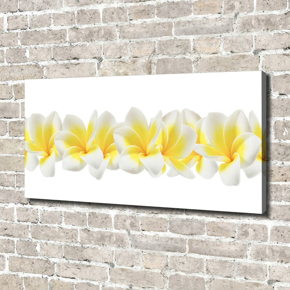 Tableau imprimé sur toile Plumeria