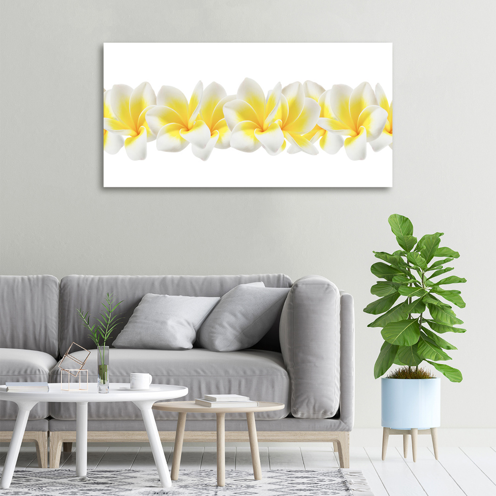 Tableau imprimé sur toile Plumeria