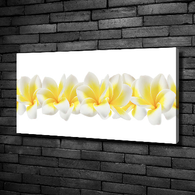 Tableau imprimé sur toile Plumeria