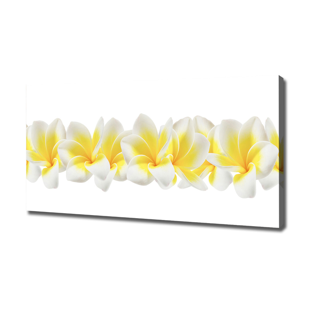 Tableau imprimé sur toile Plumeria