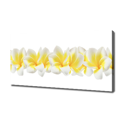 Tableau imprimé sur toile Plumeria