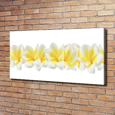 Tableau imprimé sur toile Plumeria