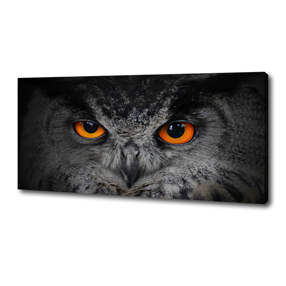 Tableau toile imprimée Oeil de hibou diabolique