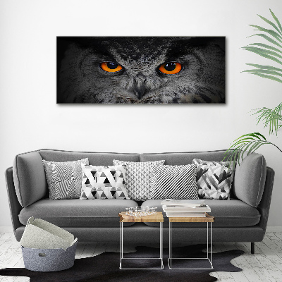 Tableau toile imprimée Oeil de hibou diabolique