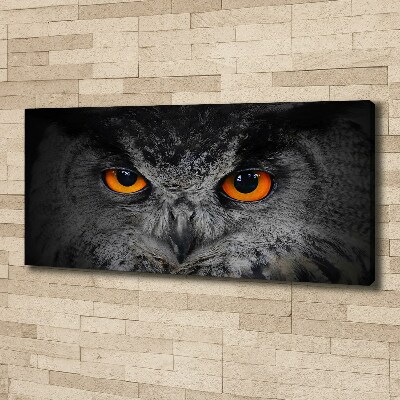 Tableau toile imprimée Oeil de hibou diabolique