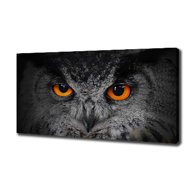 Tableau toile imprimée Oeil de hibou diabolique