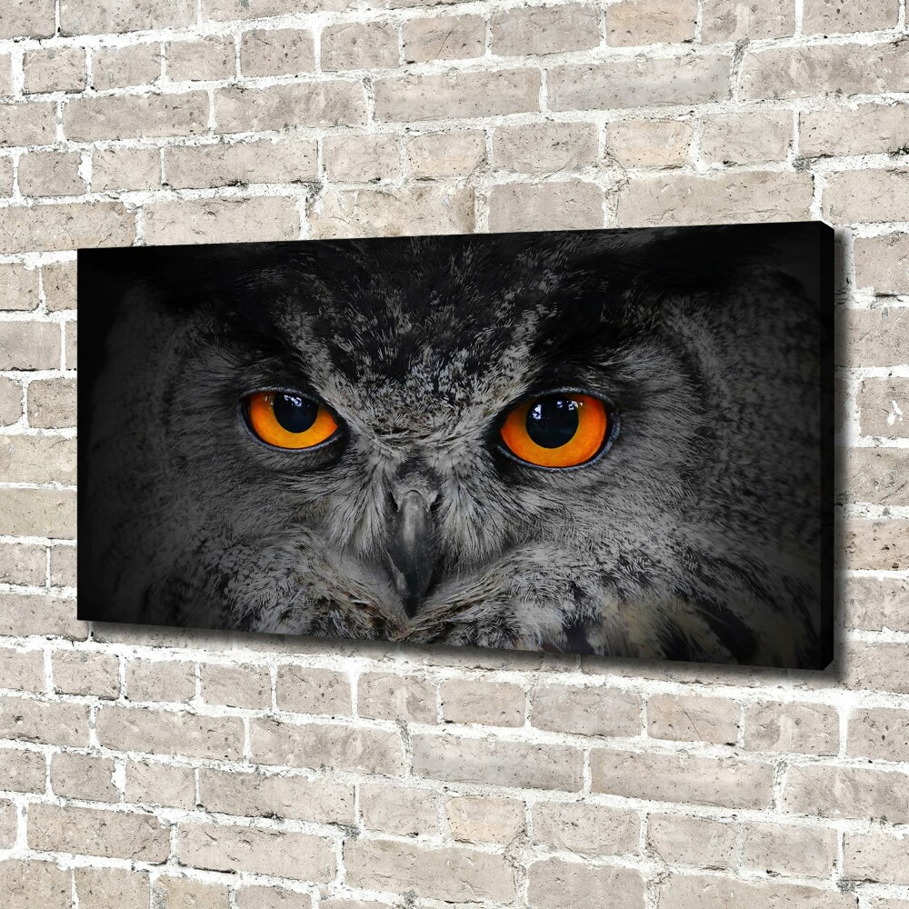 Tableau toile imprimée Oeil de hibou diabolique