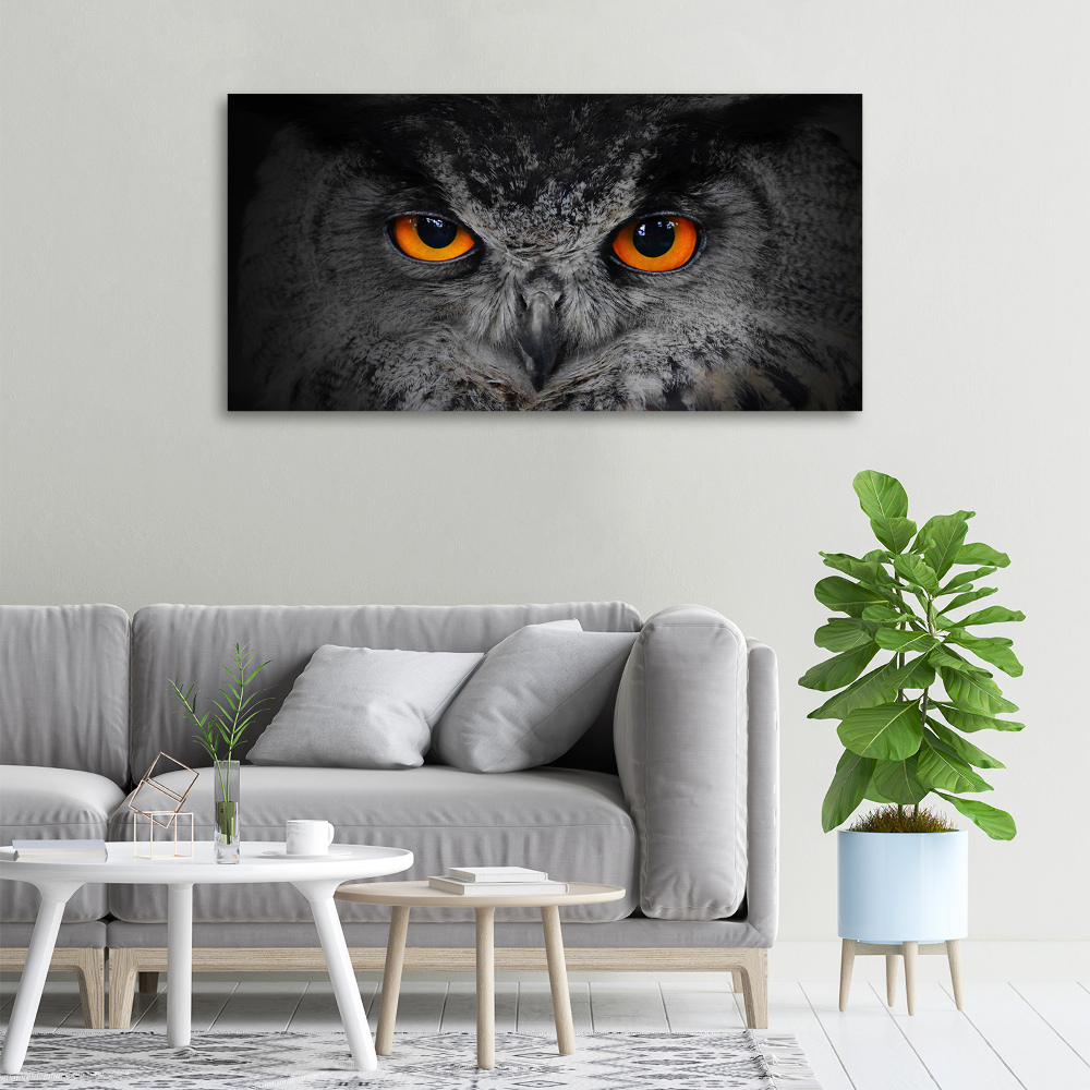 Tableau toile imprimée Oeil de hibou diabolique