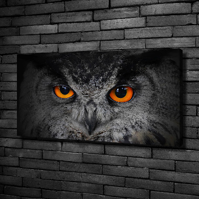 Tableau toile imprimée Oeil de hibou diabolique