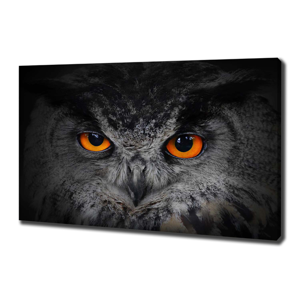 Tableau toile imprimée Oeil de hibou diabolique