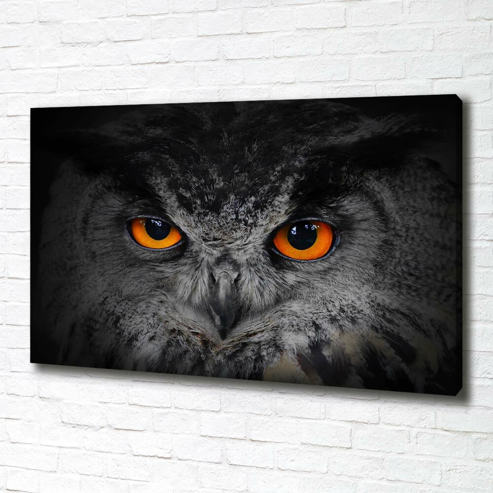 Tableau toile imprimée Oeil de hibou diabolique