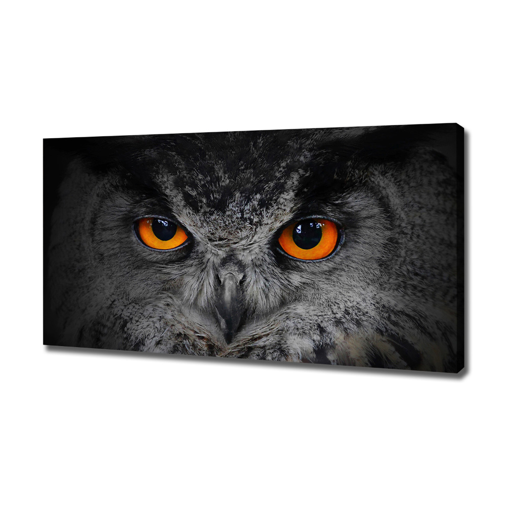 Tableau toile imprimée Oeil de hibou diabolique