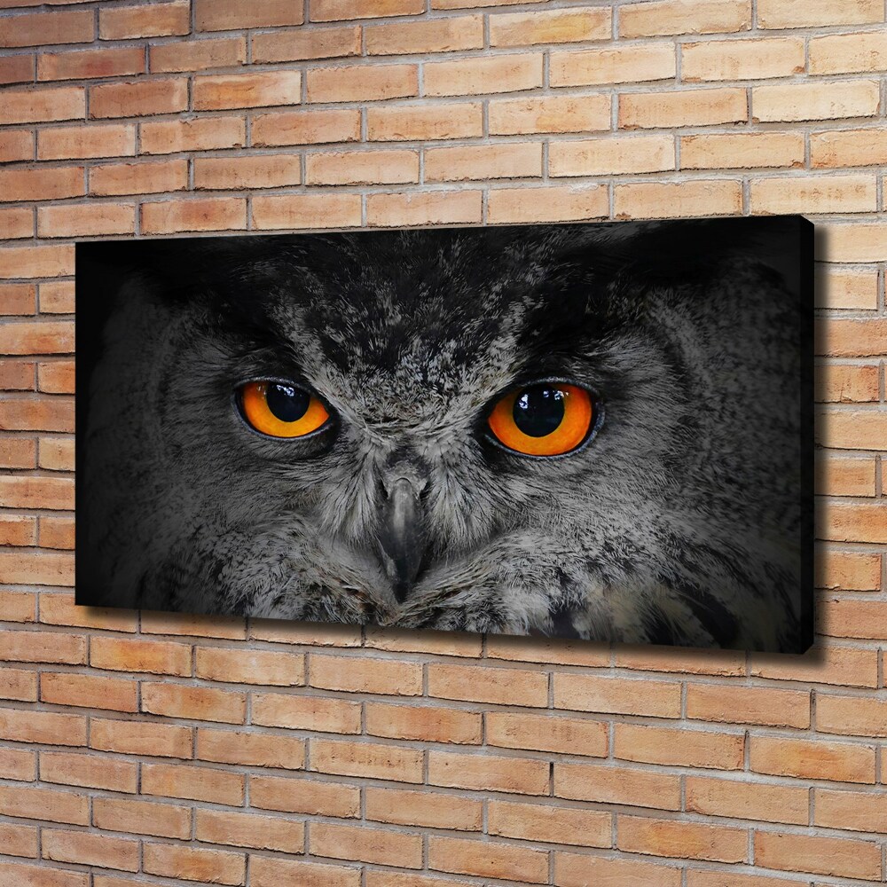 Tableau toile imprimée Oeil de hibou diabolique