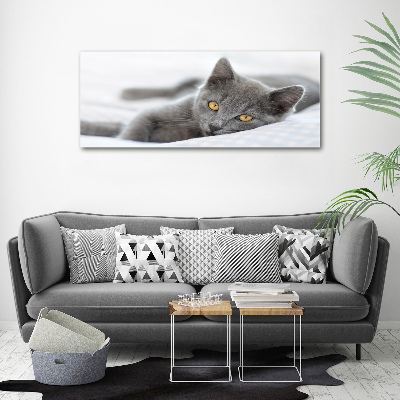 Tableau mural sur toile Chat gris