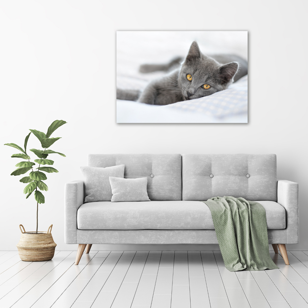 Tableau mural sur toile Chat gris