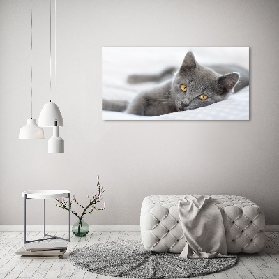 Tableau mural sur toile Chat gris