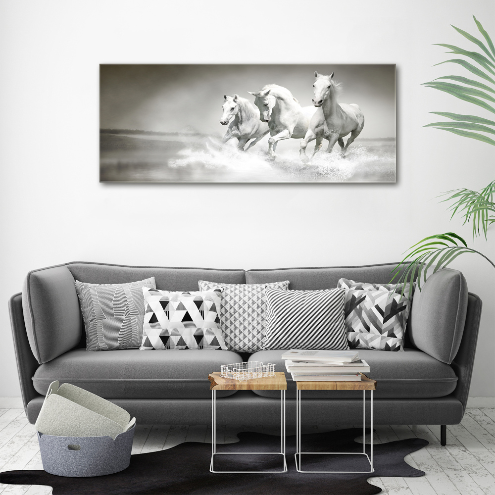 Tableau imprimé sur toile Chevaux blancs