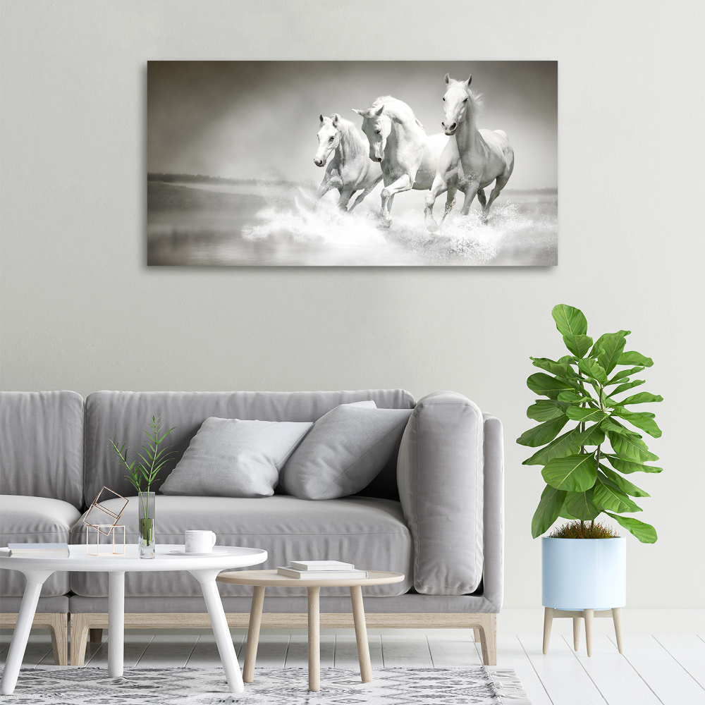 Tableau imprimé sur toile Chevaux blancs