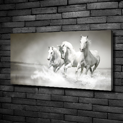 Tableau imprimé sur toile Chevaux blancs