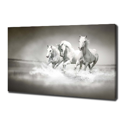 Tableau imprimé sur toile Chevaux blancs