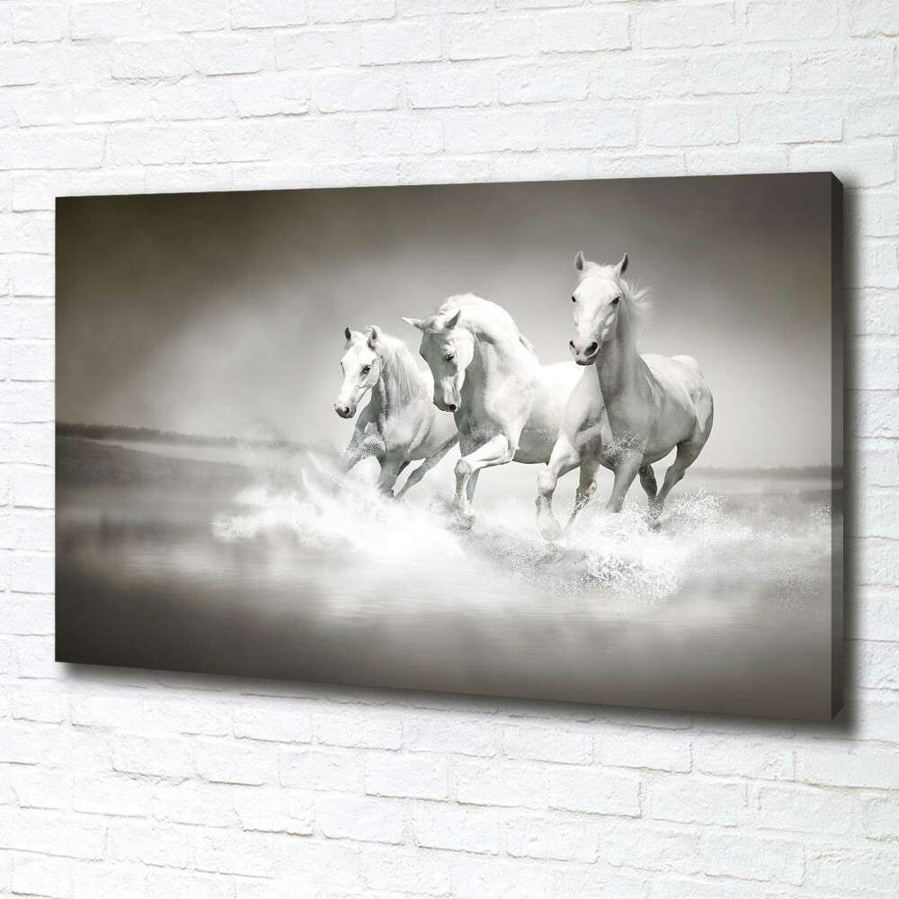 Tableau imprimé sur toile Chevaux blancs