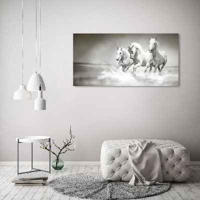 Tableau imprimé sur toile Chevaux blancs