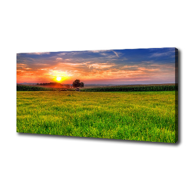 Tableau mural sur toile Coucher de soleil sur la prairie