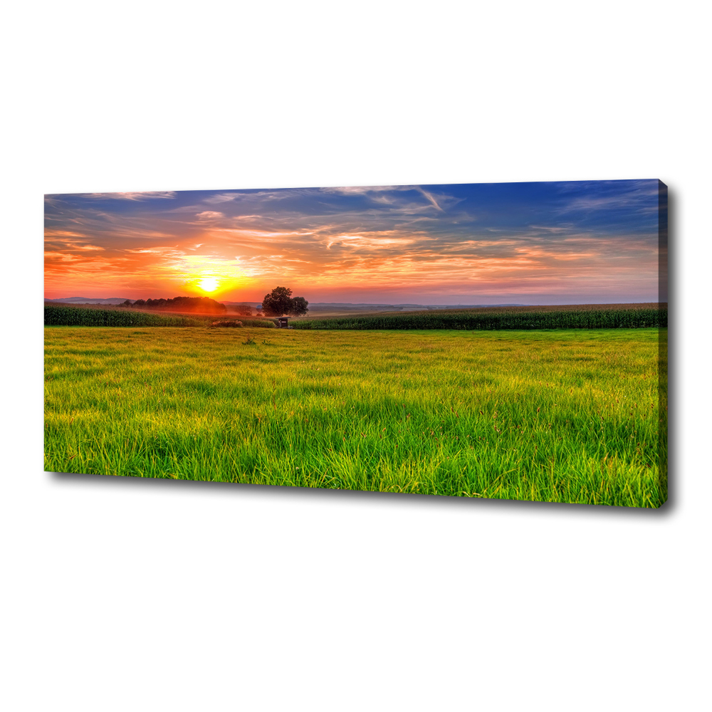 Tableau mural sur toile Coucher de soleil sur la prairie