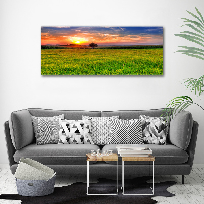 Tableau mural sur toile Coucher de soleil sur la prairie