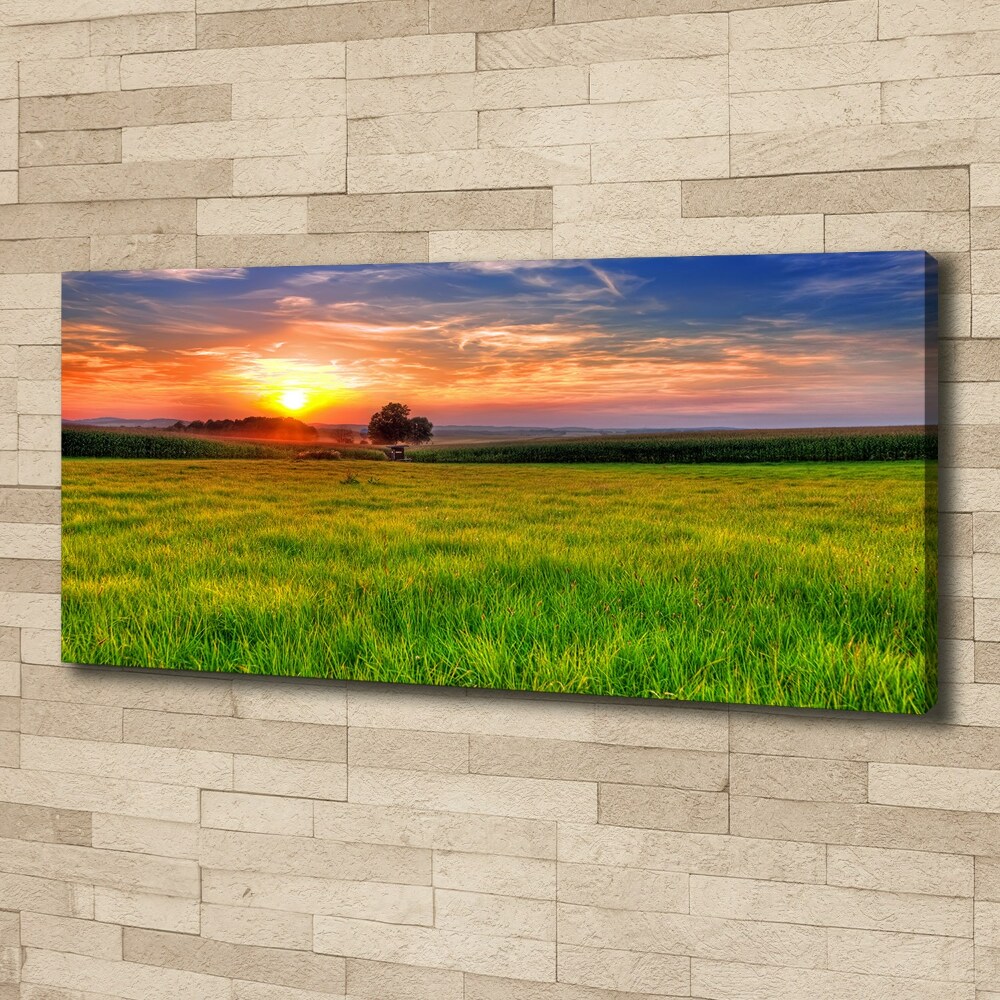 Tableau mural sur toile Coucher de soleil sur la prairie