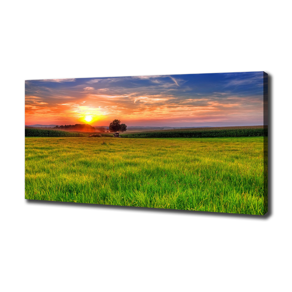 Tableau mural sur toile Coucher de soleil sur la prairie