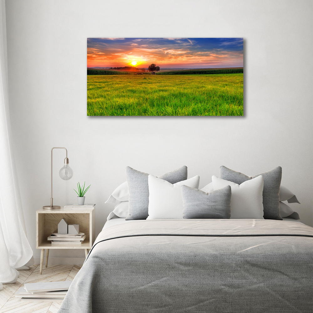 Tableau mural sur toile Coucher de soleil sur la prairie