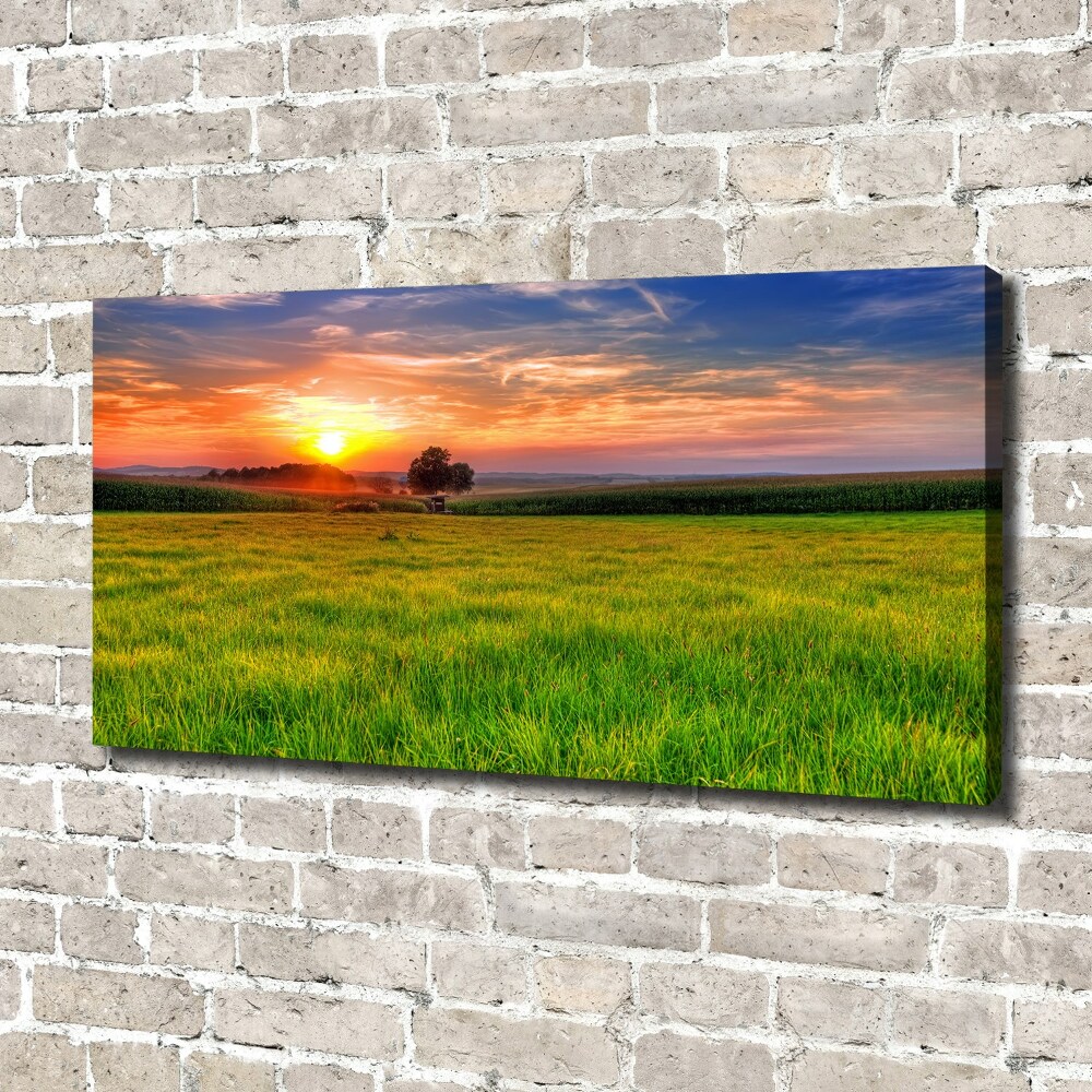 Tableau mural sur toile Coucher de soleil sur la prairie