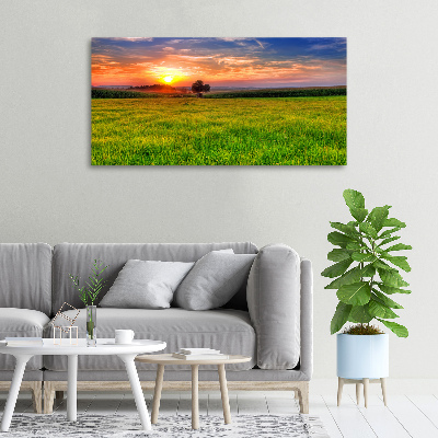 Tableau mural sur toile Coucher de soleil sur la prairie