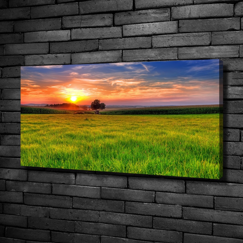 Tableau mural sur toile Coucher de soleil sur la prairie