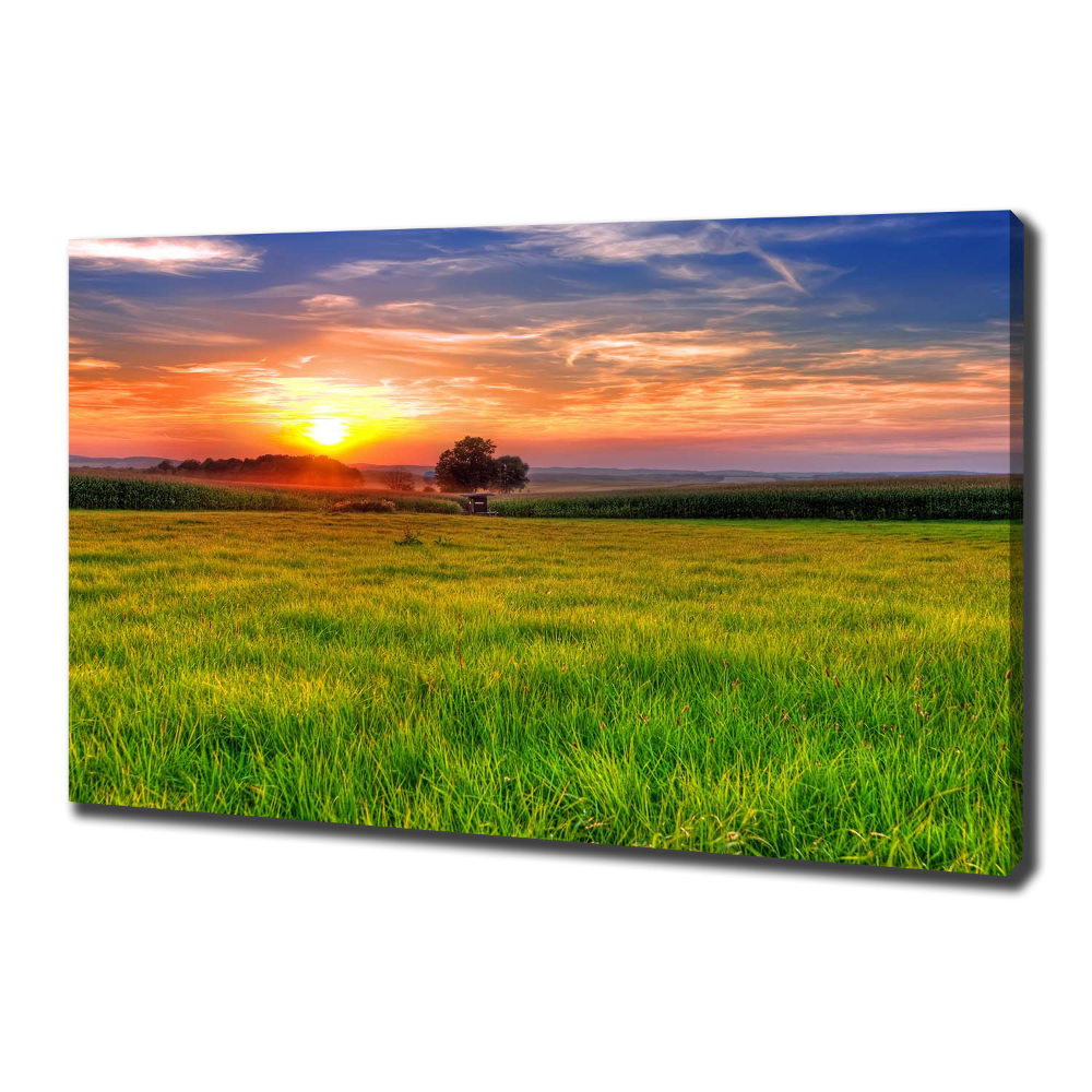 Tableau mural sur toile Coucher de soleil sur la prairie