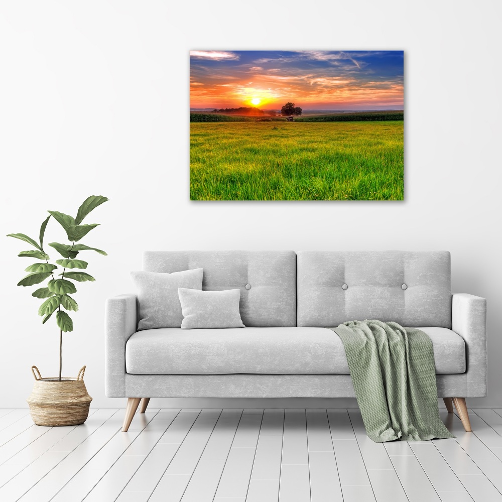 Tableau mural sur toile Coucher de soleil sur la prairie