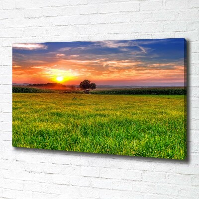 Tableau mural sur toile Coucher de soleil sur la prairie