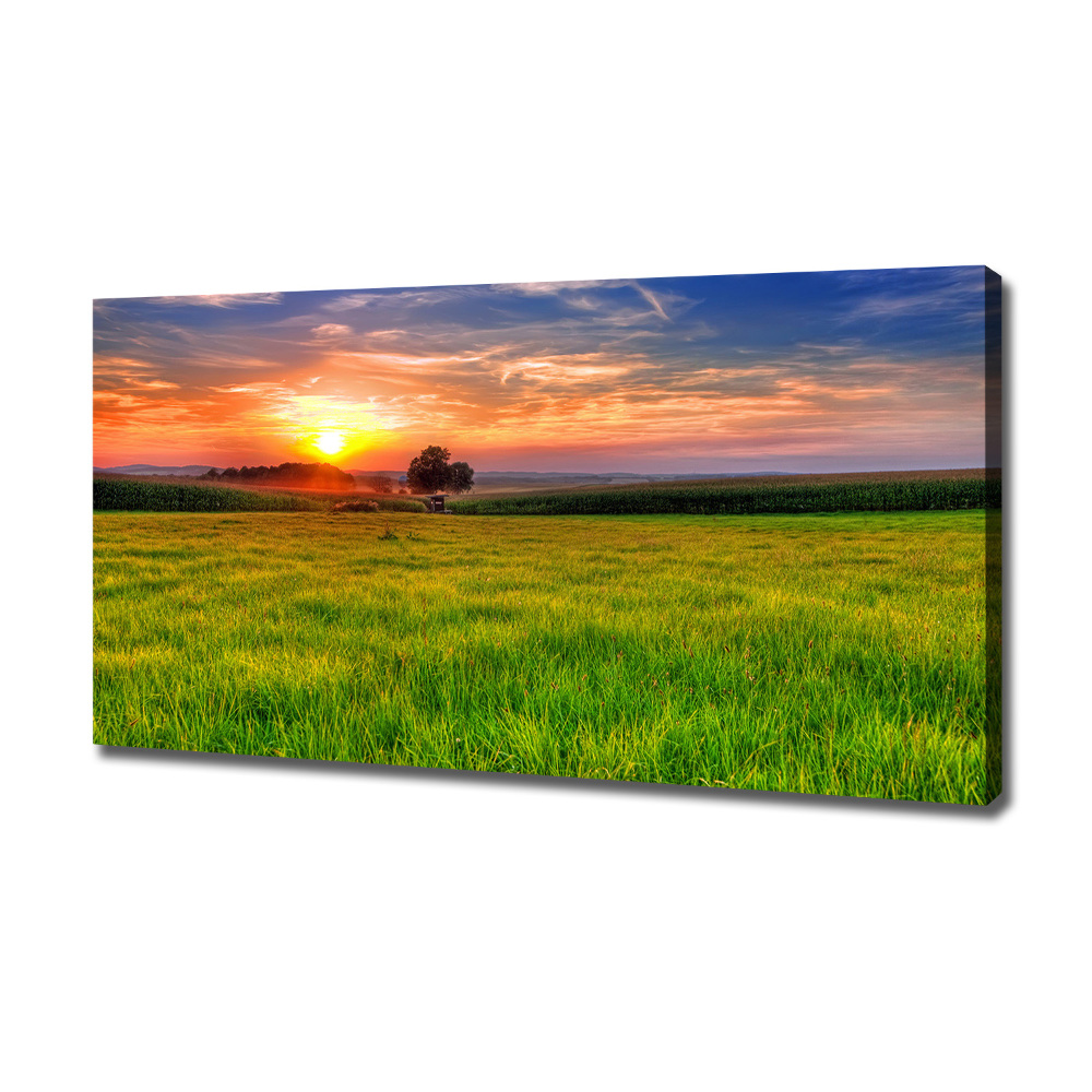 Tableau mural sur toile Coucher de soleil sur la prairie